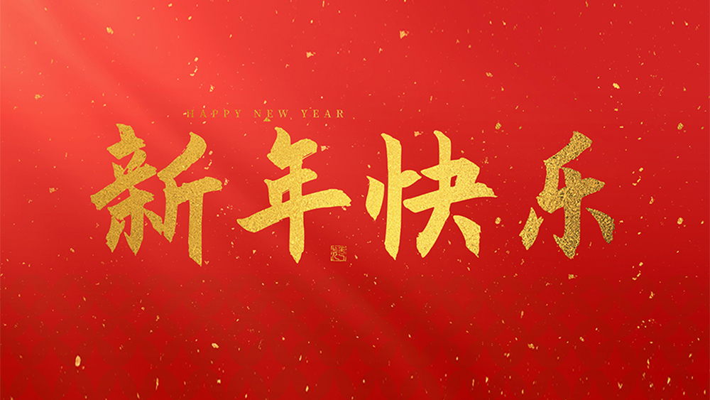 麗水市威儀自動(dòng)化技術(shù)有限公司祝全國(guó)人民2025新年快樂(lè)！